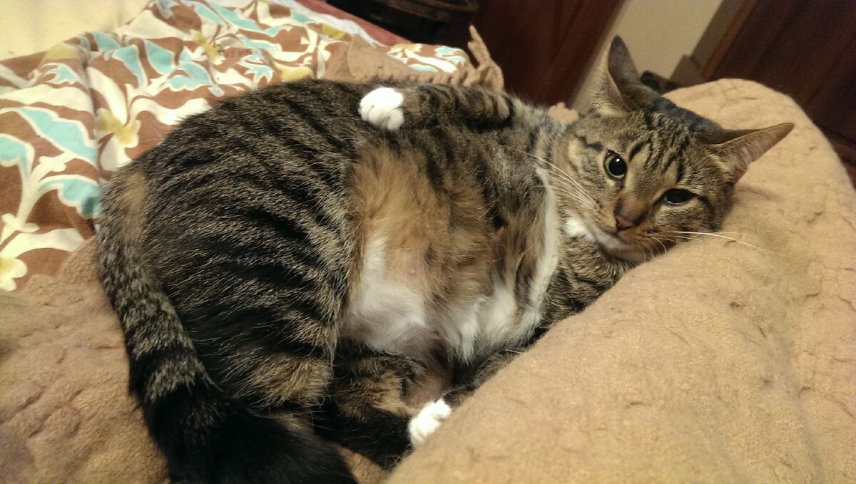 Мадонна! Клеопатра!Богиня!!!