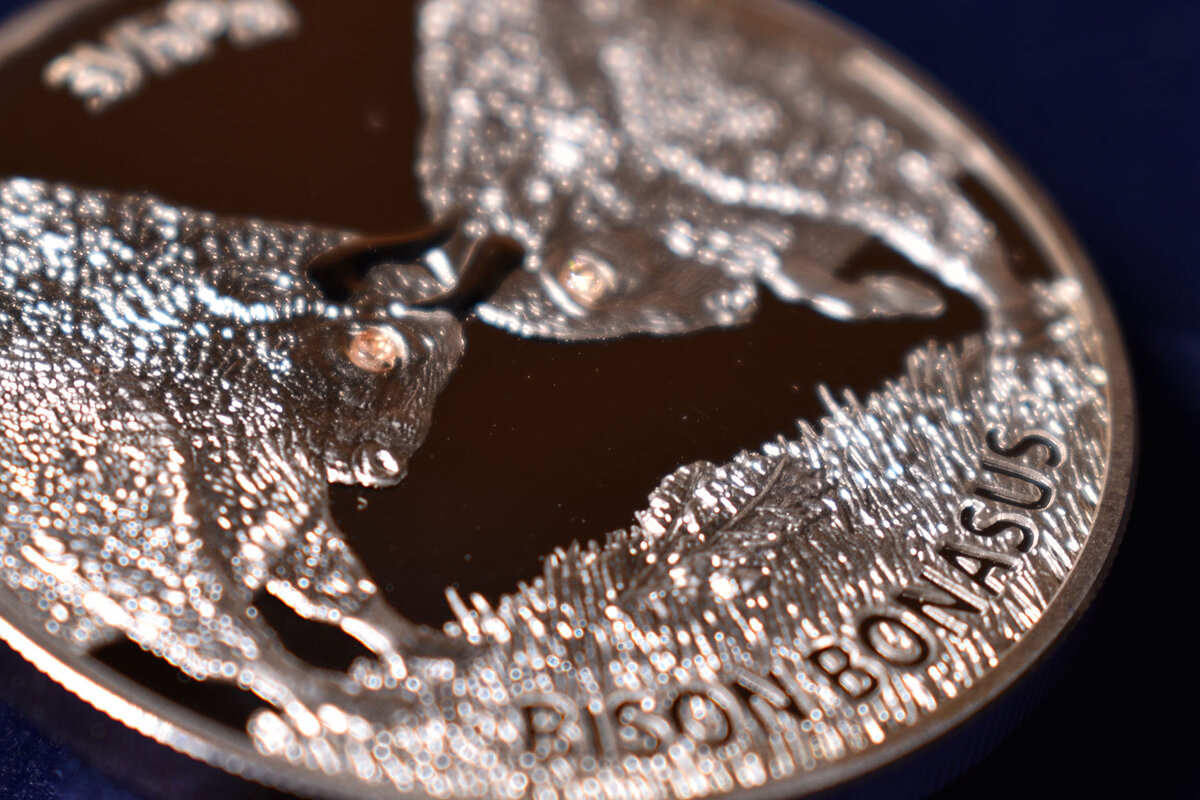 20 рублей 2012 года "Зубры" (с фианитами)