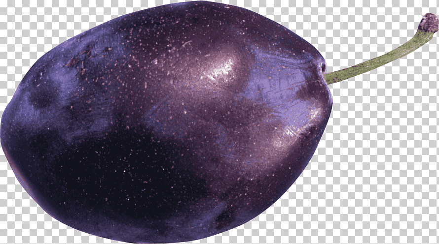 Слива обыкновенная, спелая, сочная, мощная