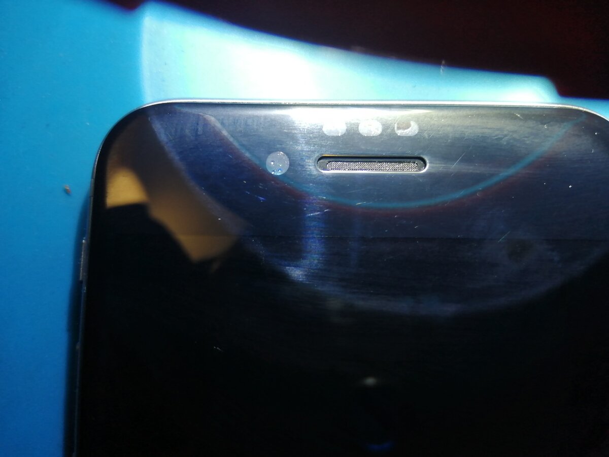 защитная сеточка динамика iPhone 6S (фото автора)