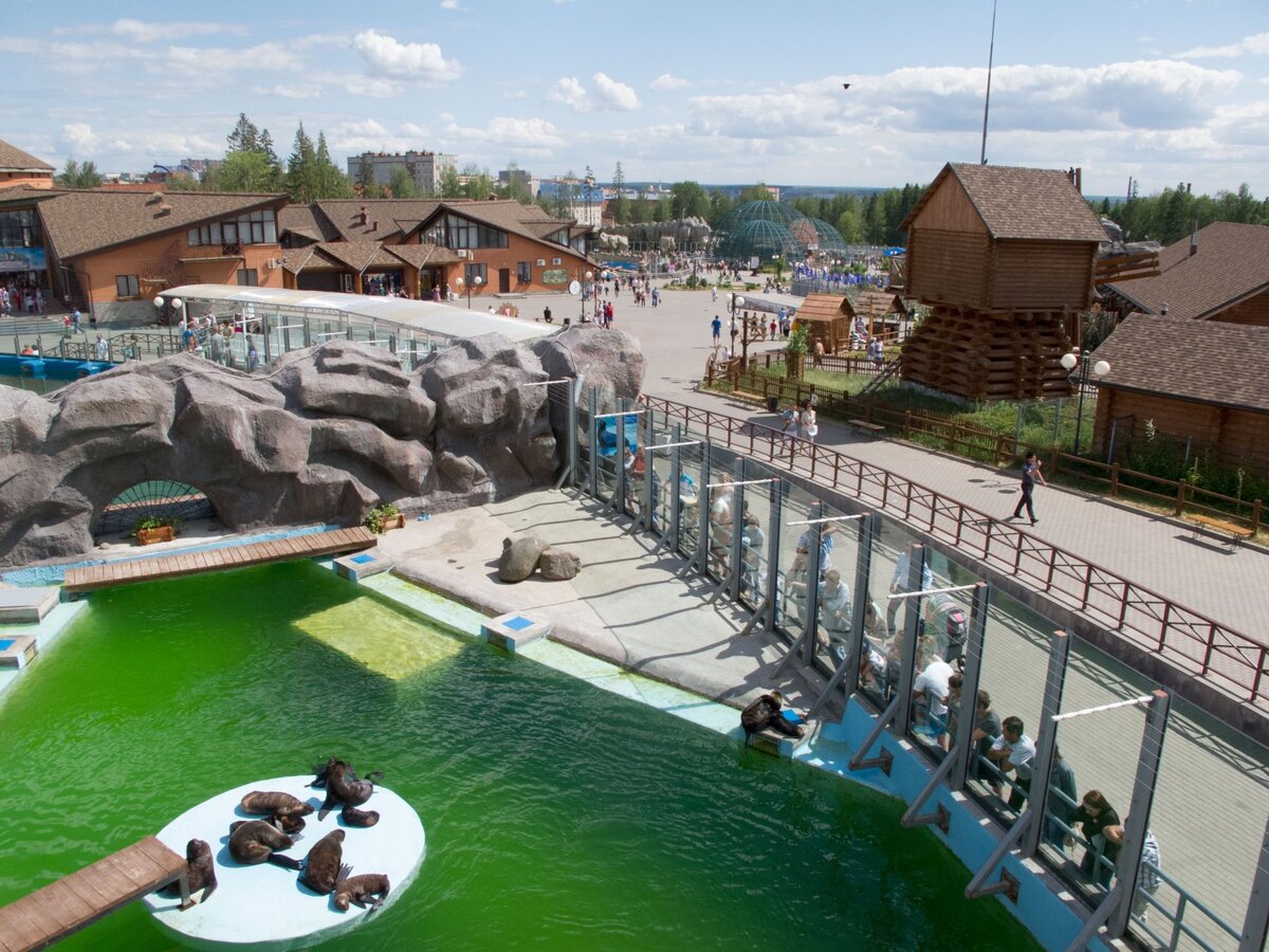 Удмуртия ижевский зоопарк. Достромечательности в ижевске. Куда можно сходить в ижевске. Kido парк ижевск. Гравити парк ижевск омега.