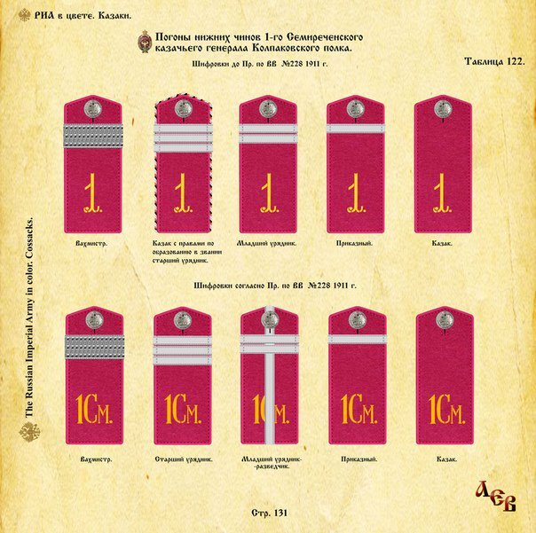 Чин ранг. Казачьи чины и погоны в Российской империи. Погоны вахмистра казачьих войск. Погоны донских Казаков царской армии. Казачьи погоны царской армии.