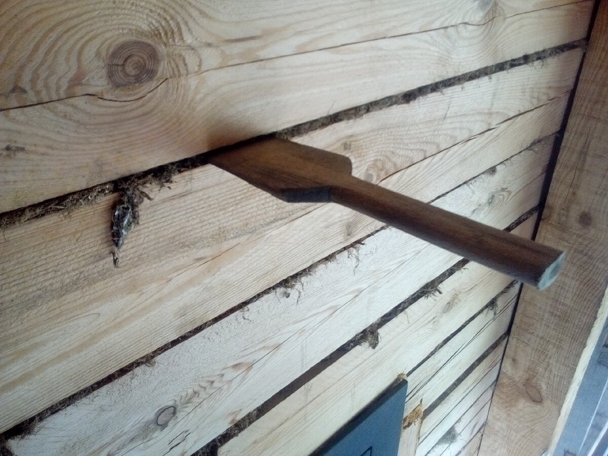 Фото бруса. Это я конопачу свой дом мхом