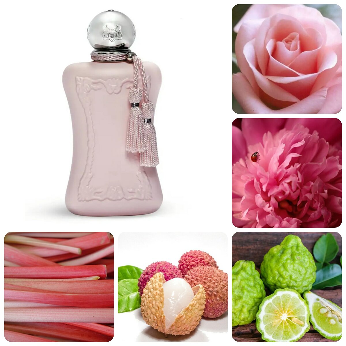 В публикации используются коллажи и фотографии, сделанные мной