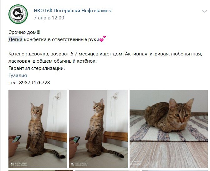 Завтра эта девочка поедет на передержку в Пермь.
