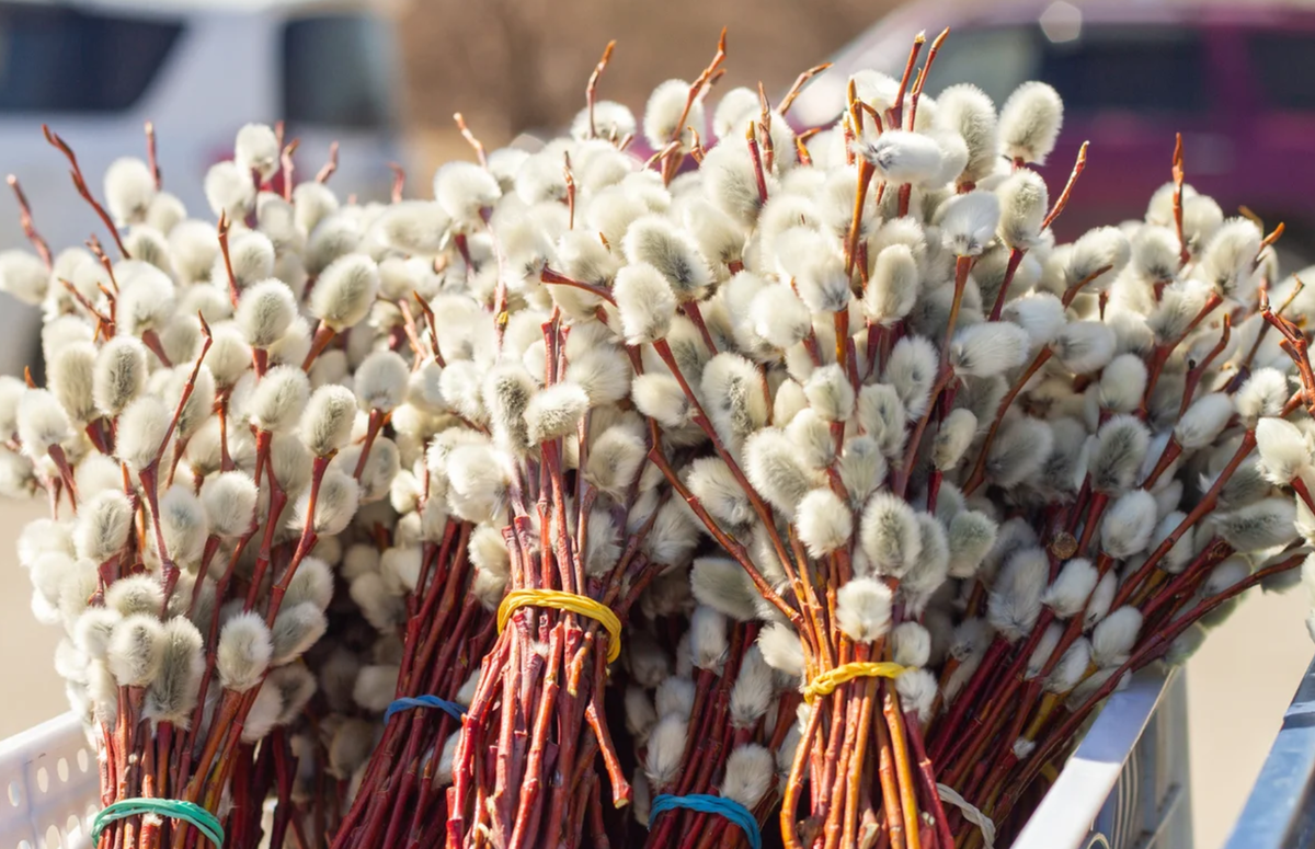 Источник: Яндекс