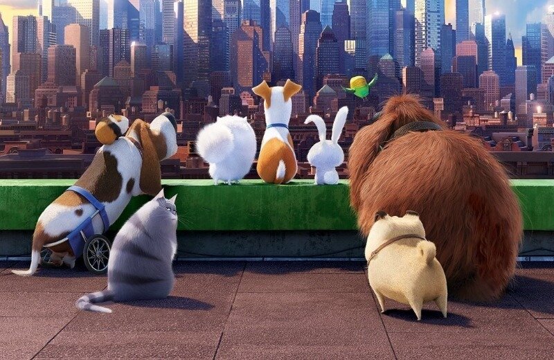 Фото https://www.instagram.com/p/CI2UNpqJXza/