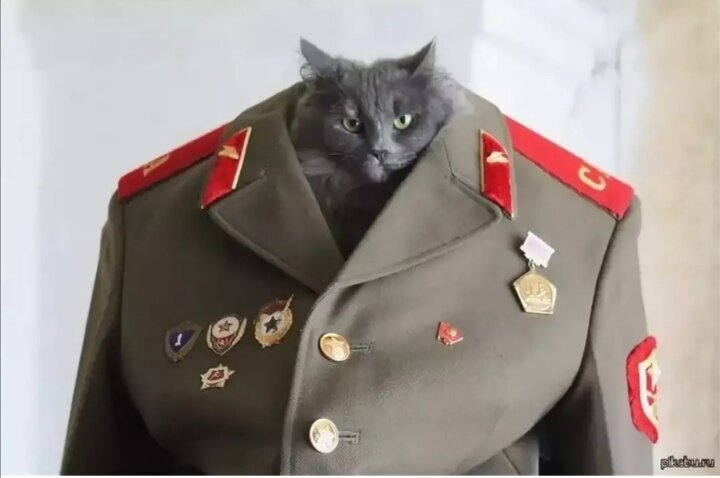 Фото из интернета. 