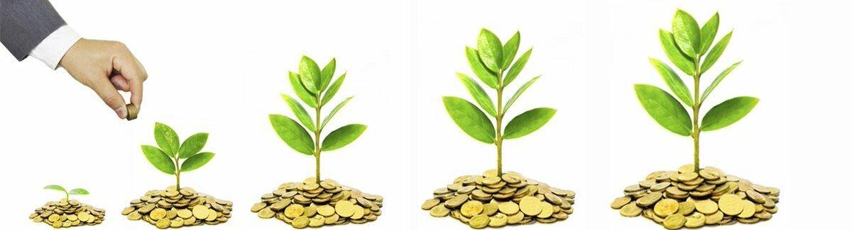 Картинка из Яндекса