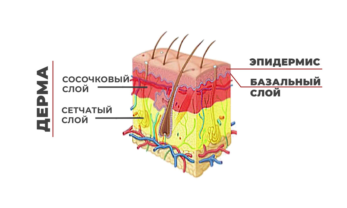 Если хотите посложнее, то листайте галерею