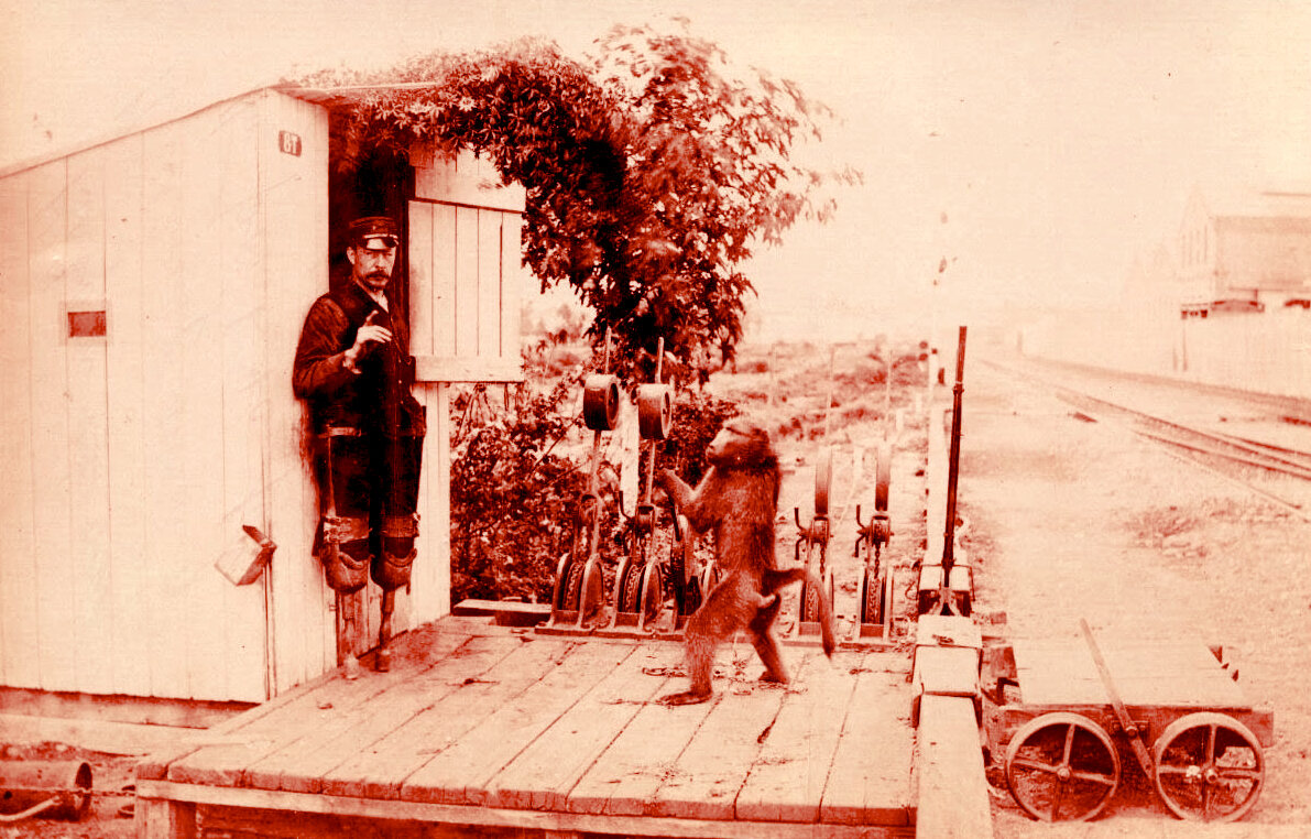 Уайд и его коллега Джек. Фото 1879 года.