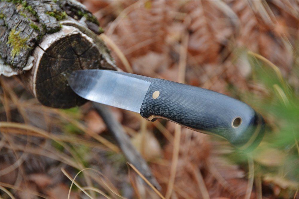 Фото с сайта: https://s004.radikal.ru