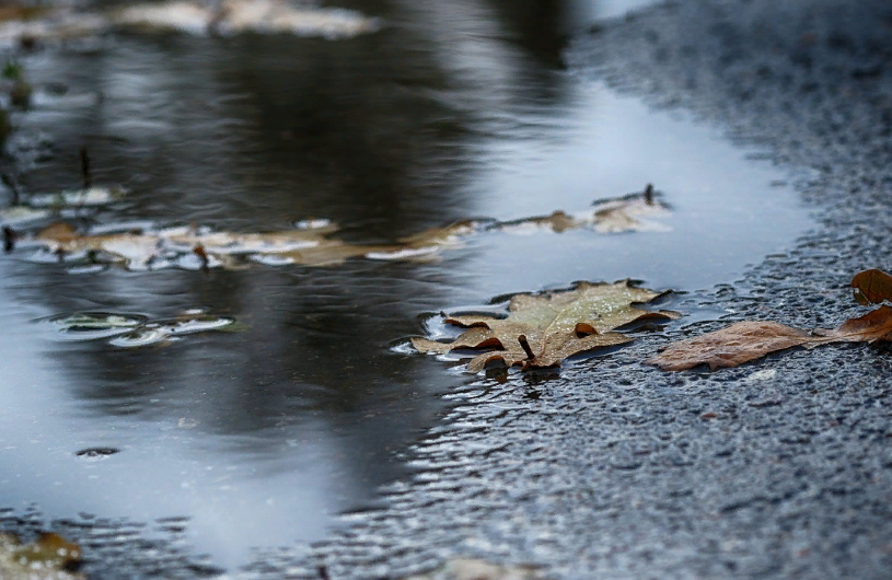 Фотография взята для иллюстрации