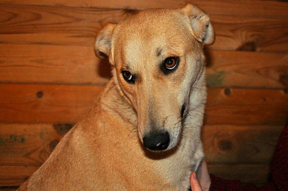 Вот примерно так выглядит героиня истории.