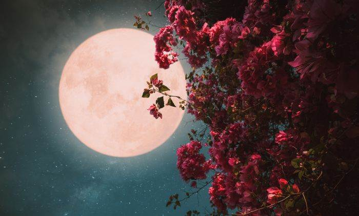 bing images: Гороскоп 2023