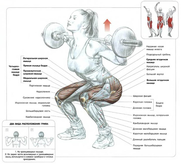 Источник: https://goo.su/9n1t