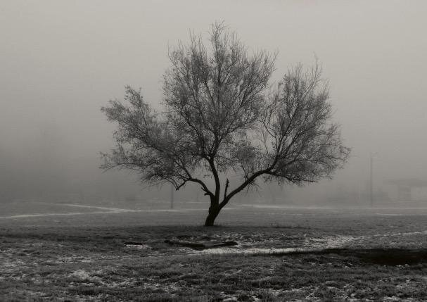 Фотография Николая Семёнова