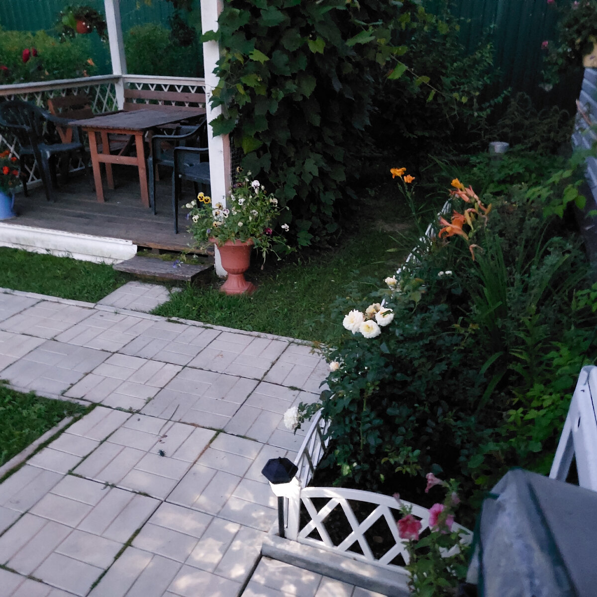 Виноградная беседка.