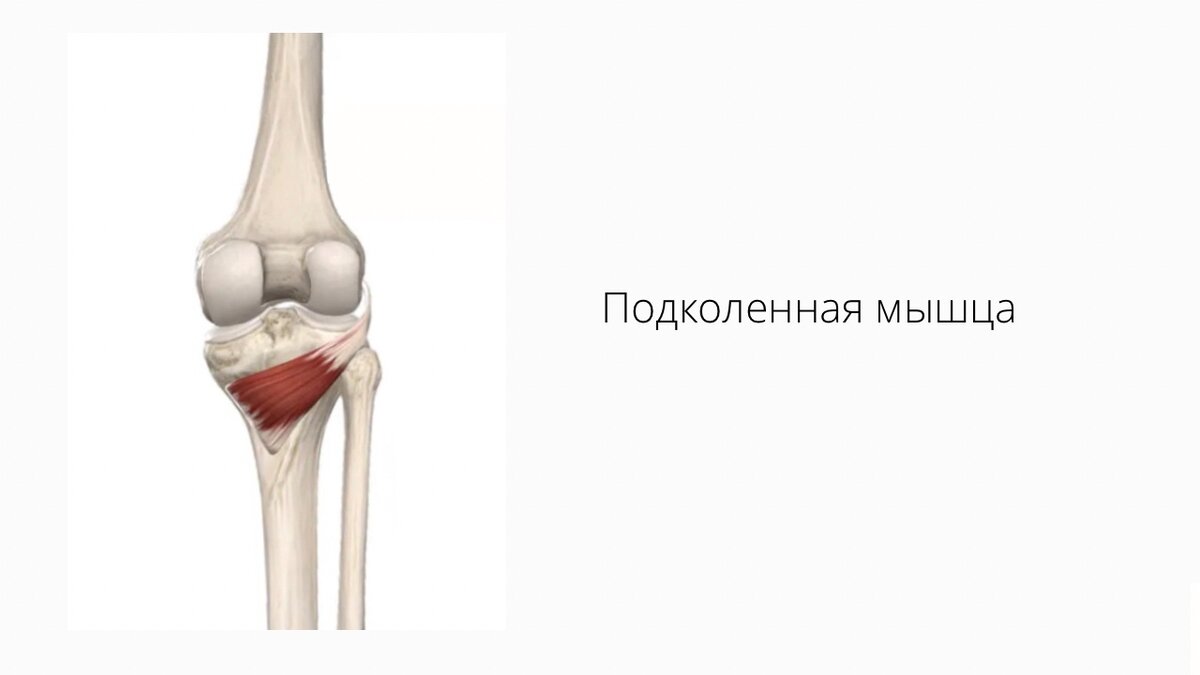 Почему болят колени | ПИЛАТЕС ДЛЯ ЖИЗНИ | Дзен