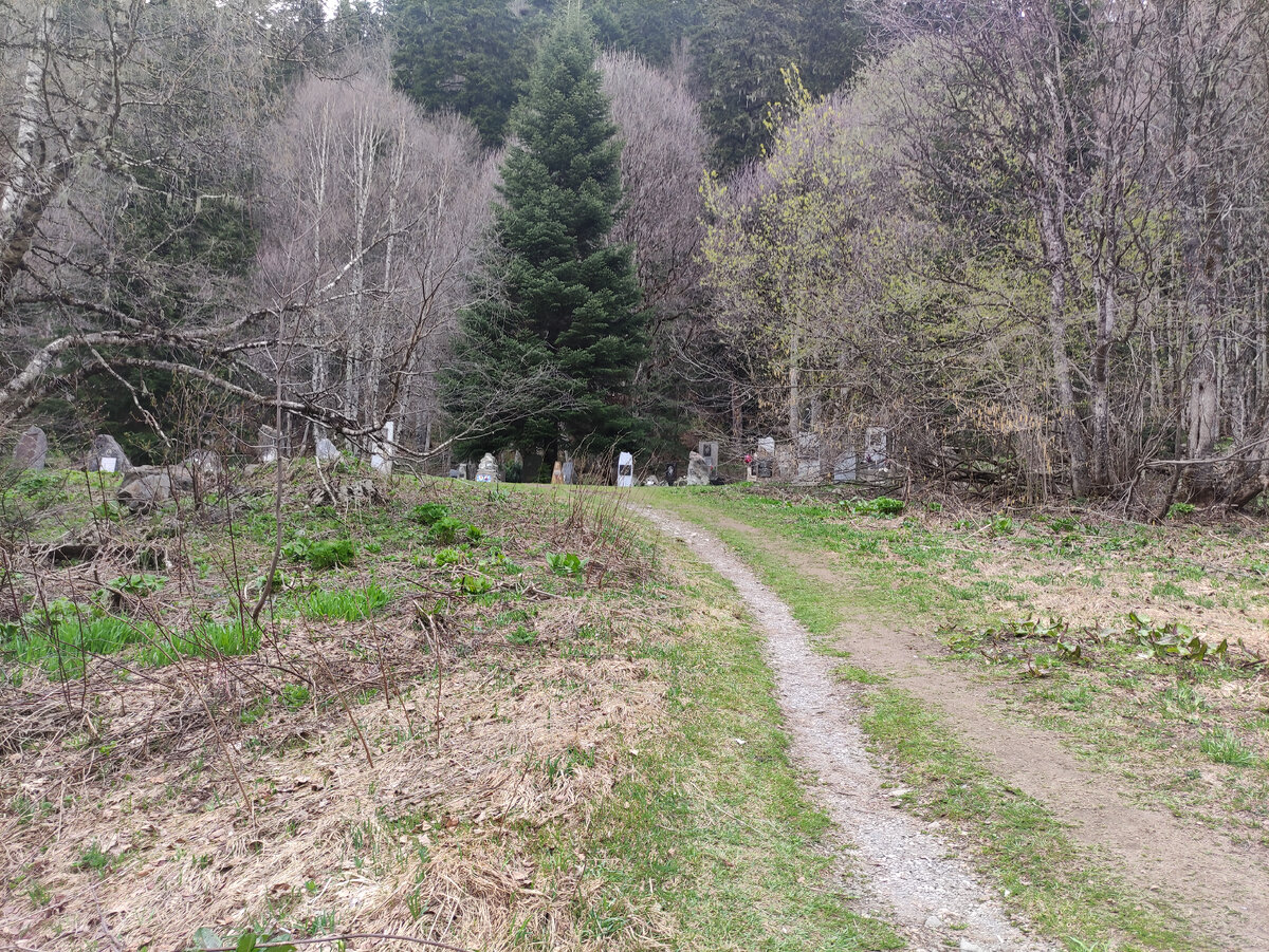 К могилам от входа ведёт тропа.