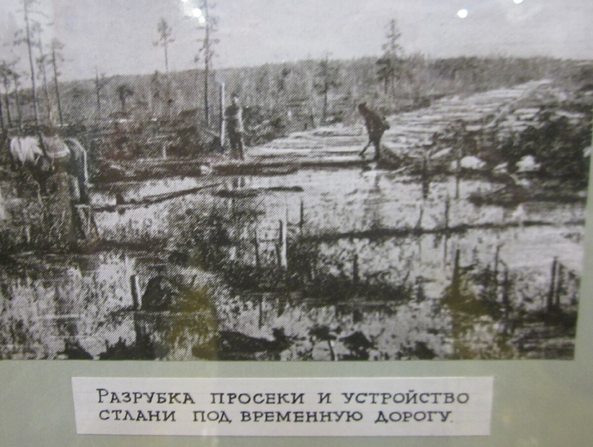 Фото сделанное автором во время посещения Шарьинского краеведческого музея, январь 2021г.