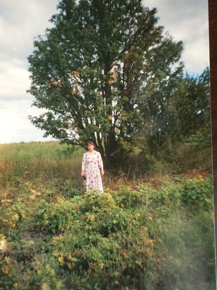 У рябины в деревне Кромовесово 