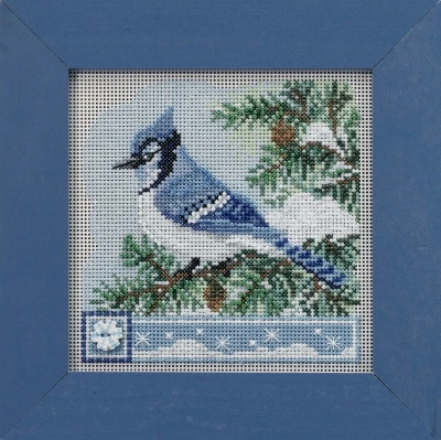 MH142233 Blue Jay