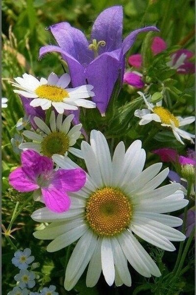 Это для меня тишина.