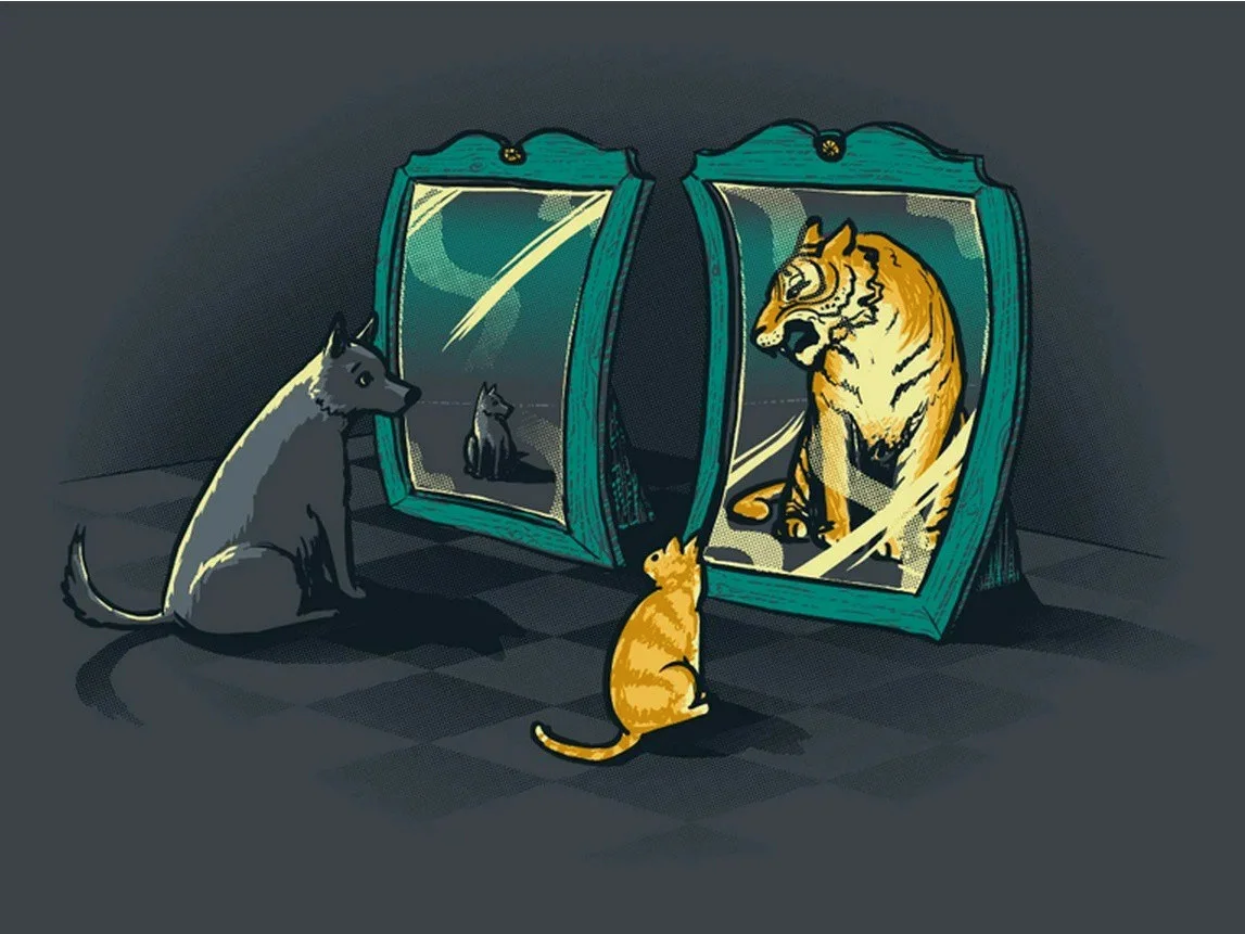 Картинка из открытого доступа сети Интернет