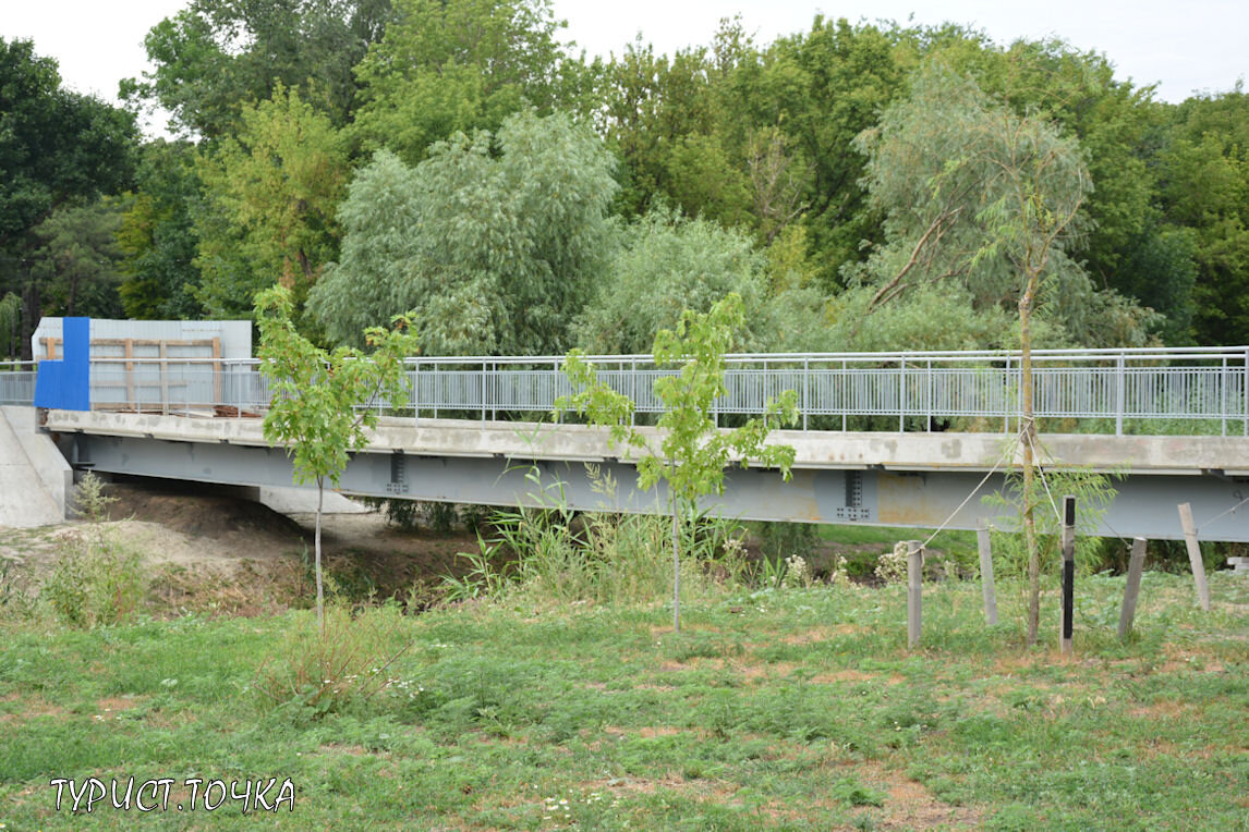 Фото темерника в ростове