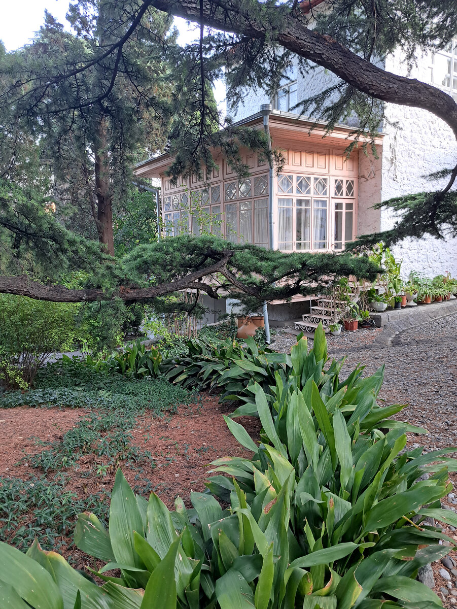 Присела на лавочку. Ландыши впечатлили, они здесь огромные! 