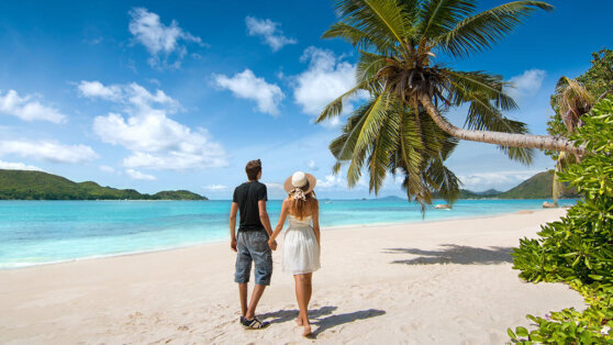    Отпуск-2023: россияне стали лидерами по объемам турпотока на Сейшелы Ирина Петрова