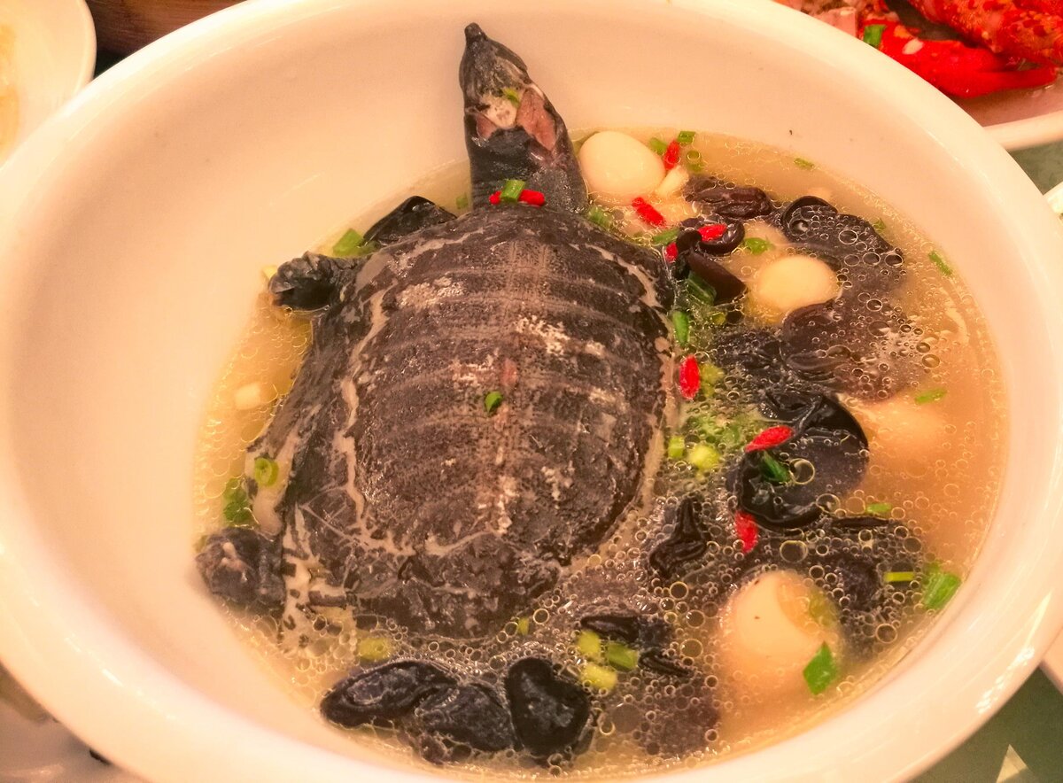 Жареная черепаха и другие редкие блюда (Жоржи Амаду)