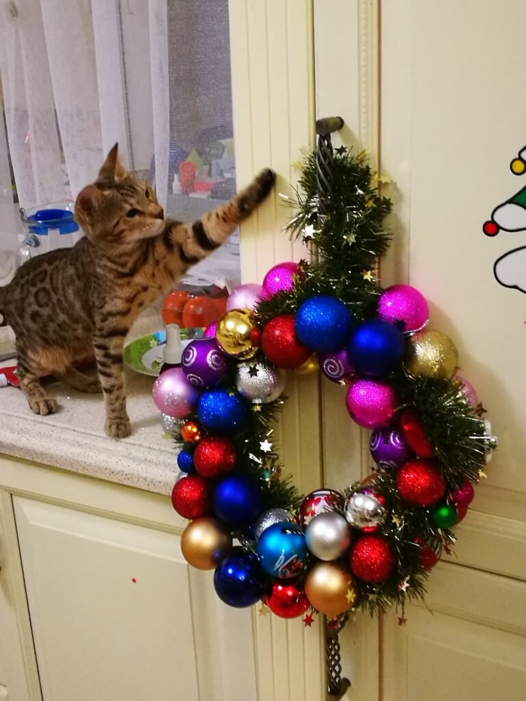 Рождественский венок своими руками