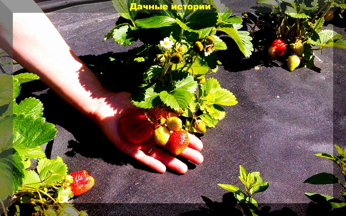 https://vk.com/photo-159774511_457244208