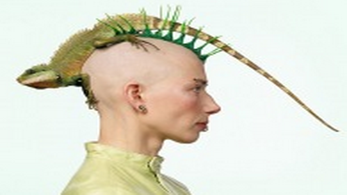 Подписывайтесь на канал и ставьте лайки - этим вы помогаете каналу развиваться. Спасибо