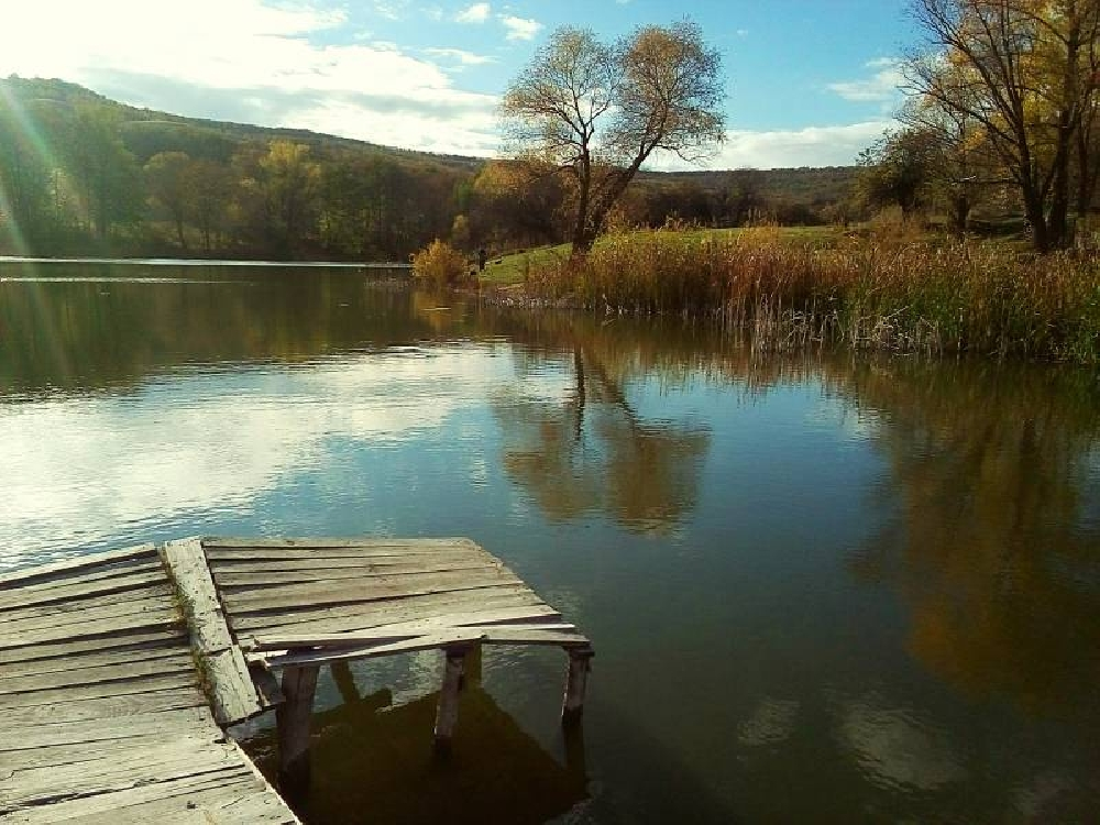 Елшанка Саратов водоём