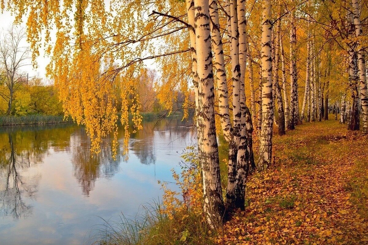 сайт mk.ru