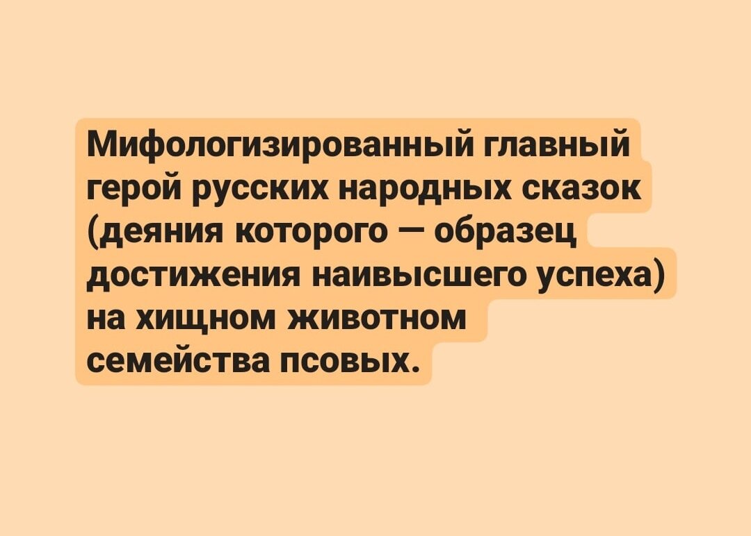 Ответ в слайде под загадкой, листайте!