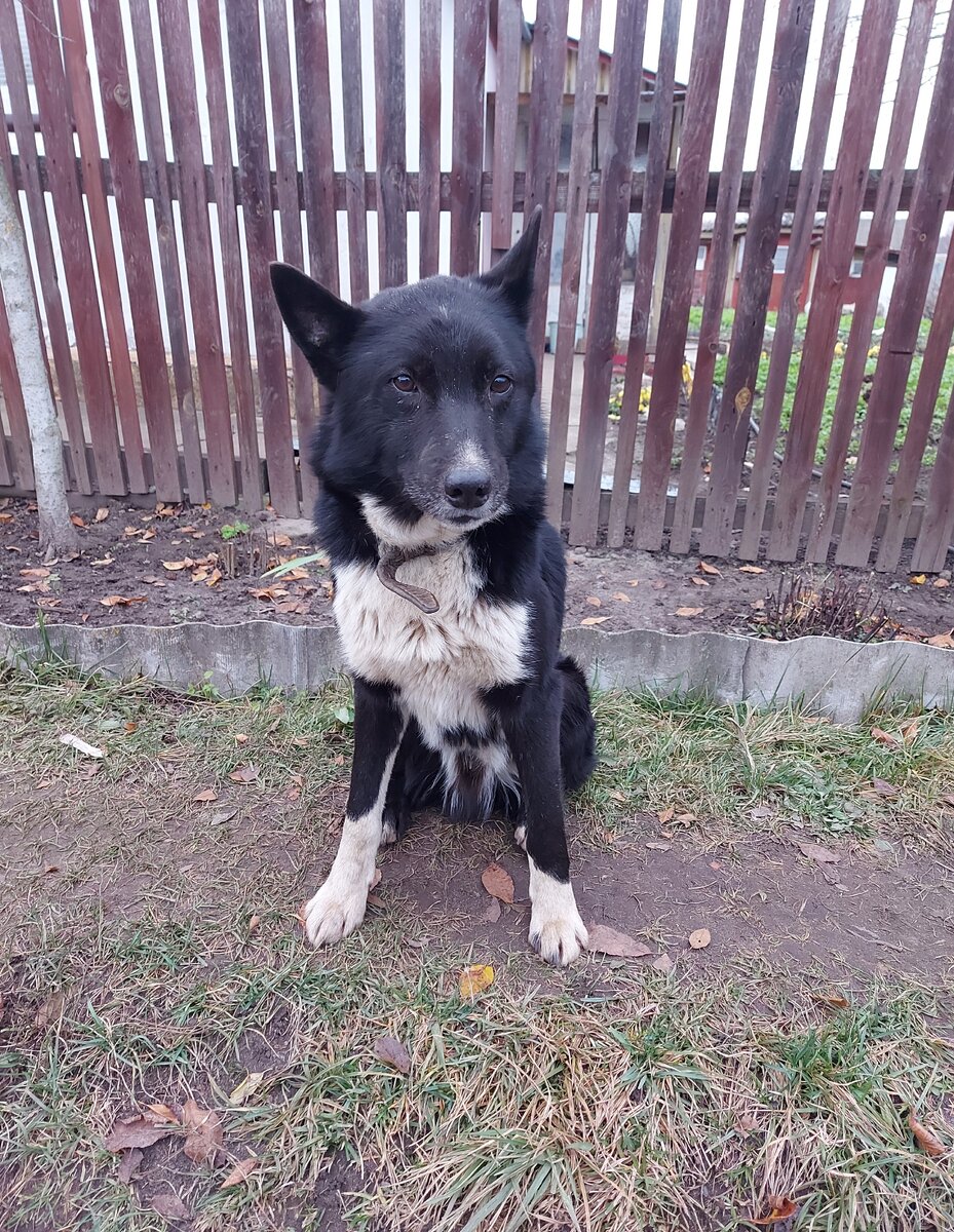 3 недели скитаний