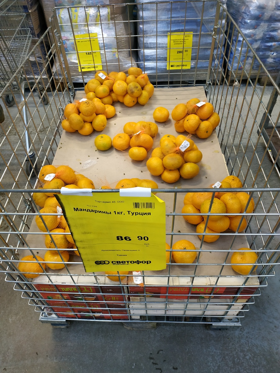 фото  автора