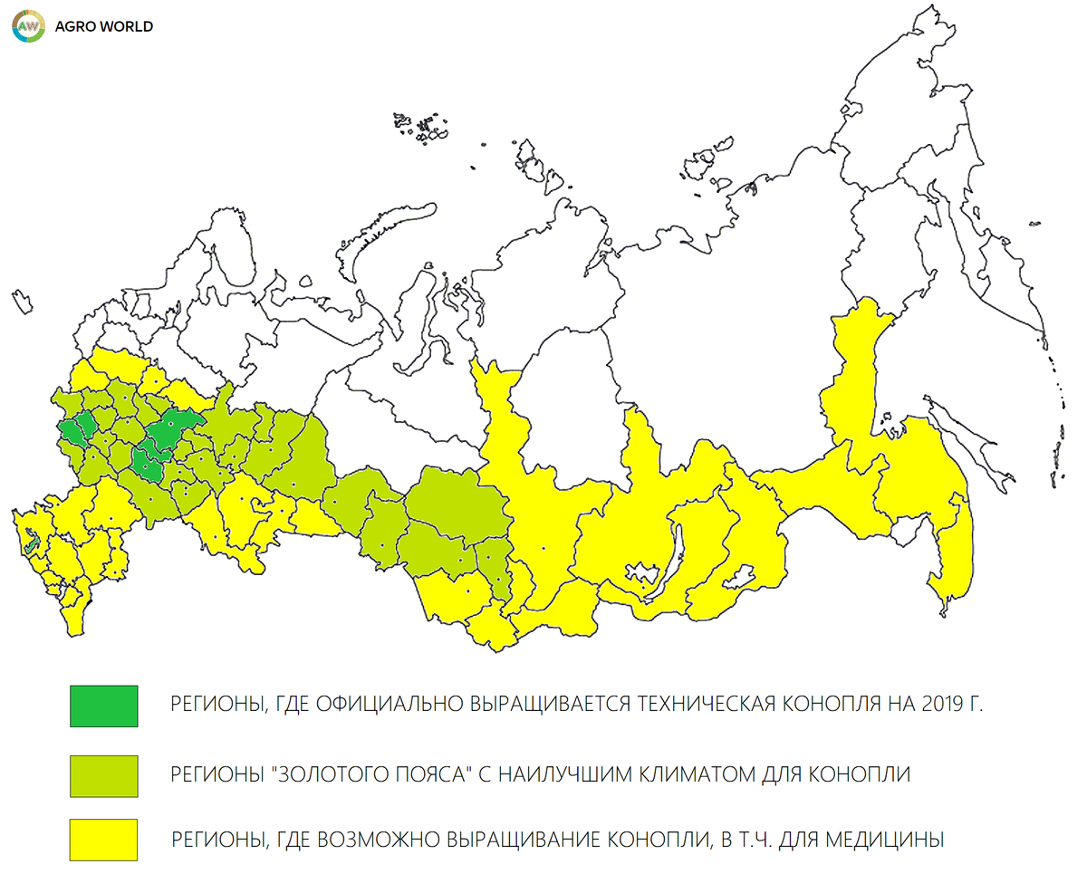 Карта произрастания конопли в России. Ареал произрастания конопли. Регионы произрастания конопли. Выращивание конопли в России карта.