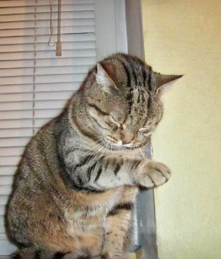 Батюшка Василий)