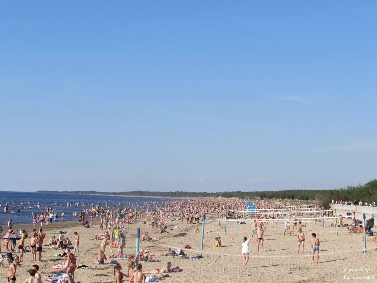 Летний берег - Википедия