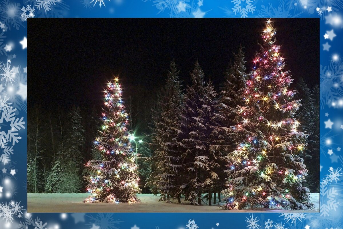 Фото взято из открытых источников.