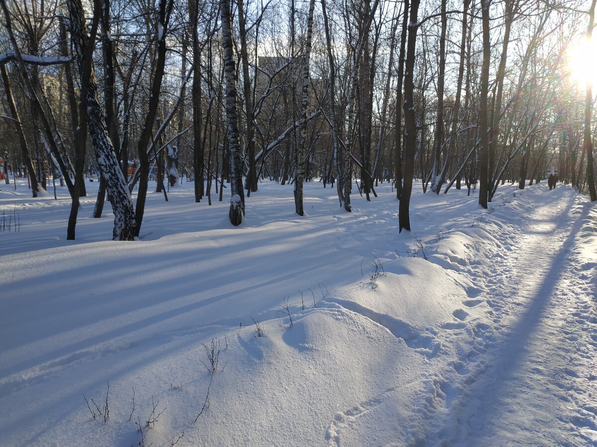 Зимний денёк 17 января 2021 год Москва