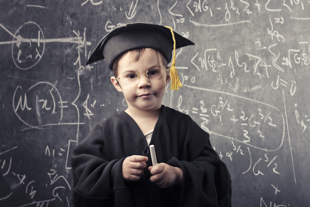 Дар зери мафҳуми нубуғ натанҳо доштани зеҳнияти олӣ, балки истифодаи тахайюл дар ҳалли ҳамаи мушкилот фаҳмид мешавад.