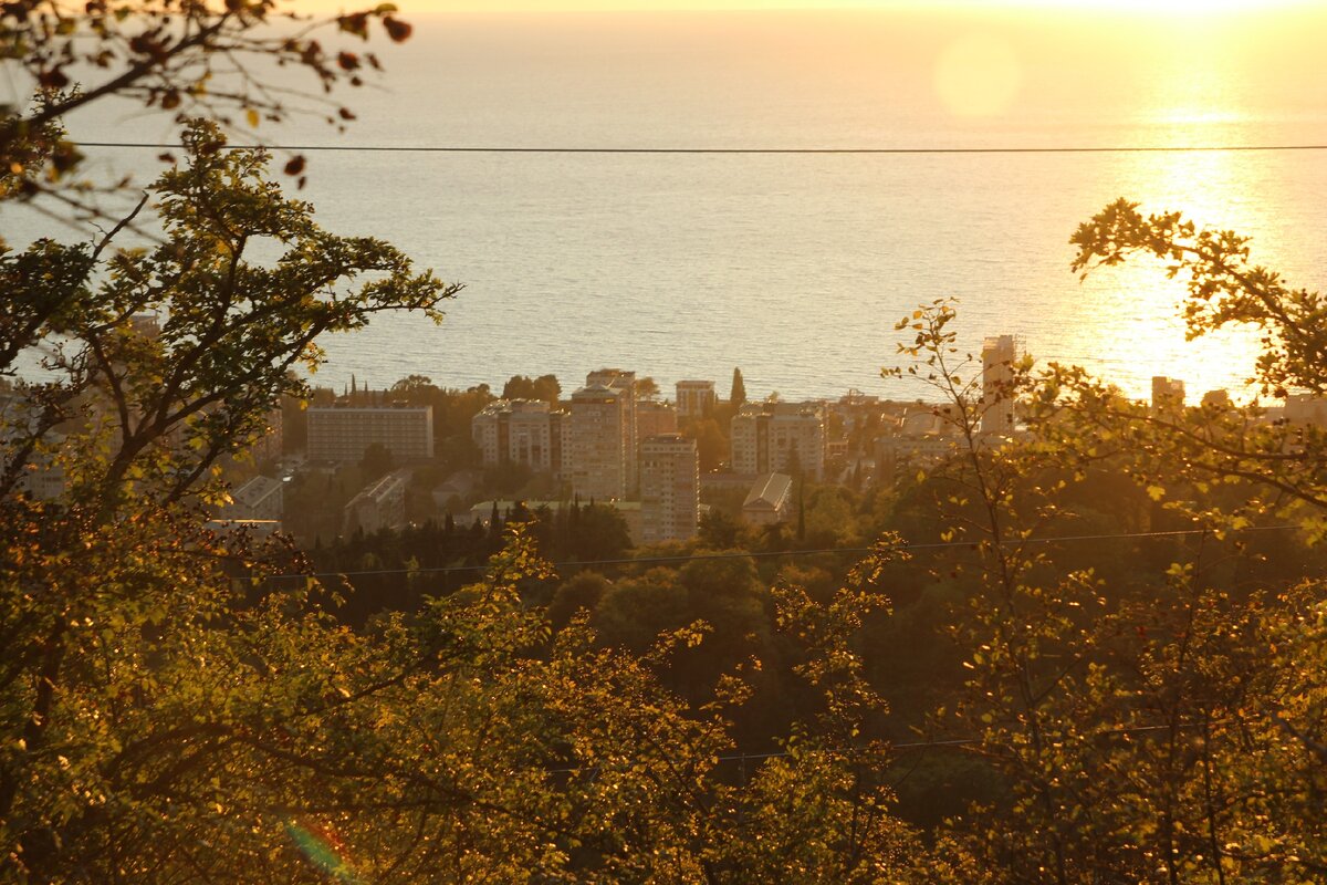 фото автора со смотровой площадки в Гагре