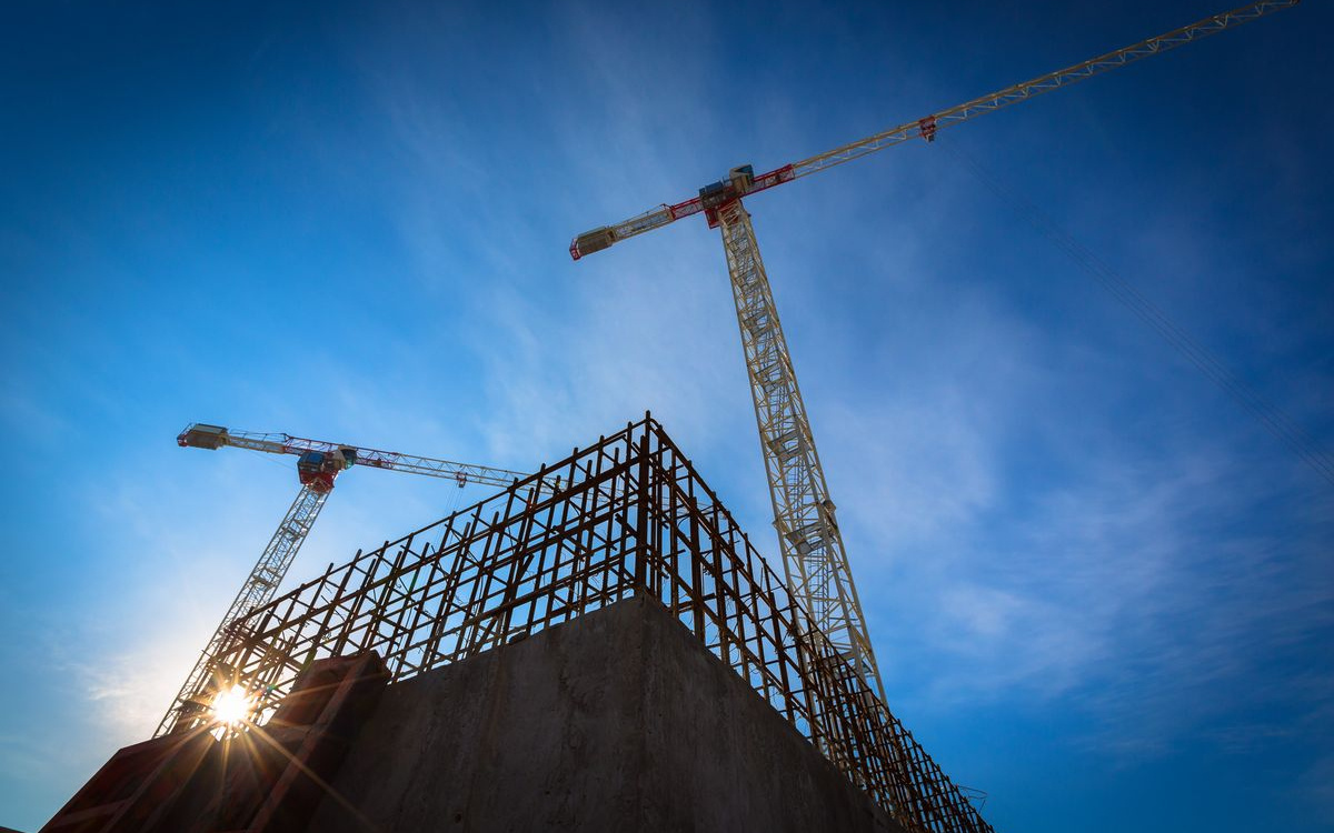 Фото: Alexander A.Trofimov/shutterstock