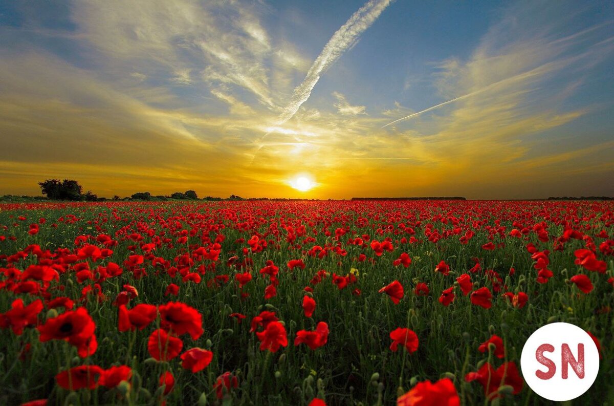 Благодаря солнцу вы не только восполните дефицит витамина Д, но и поднимите себе настроение